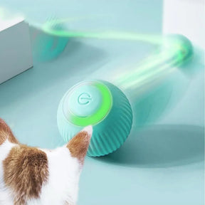 Katzenspielzeug Elektrisch - Interaktiver Katzenball